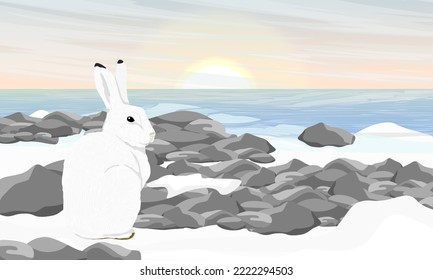 The polar hare sits on the ocean shore. Wild animal of the Arctic tundra. Realistic vector landscape