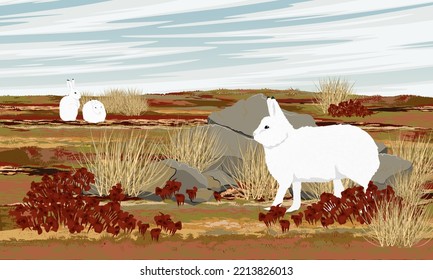 Polar hares in the summer blooming tundra. Wild animal of the Arctic. Realistic vector landscape