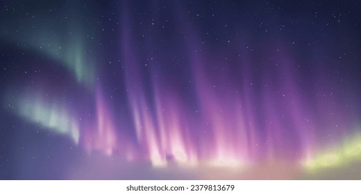 Polar lights, starry sky. Northern landscapes. Vector illustration.