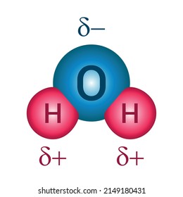 Polar Molecule Diagram Of Water Vector Illustration Isolated On White Background.