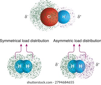 Polar molecules exhibit a permanent dipole effect, while nonpolar molecules exhibit a temporary dipole effect. Intermolecular interactions.