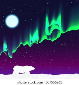 polar night, aurora, polar bear
