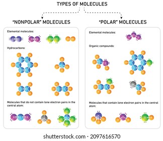 polar and nonpolar molecules with  common examples