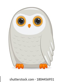 Polar owl bird on a white background. Cartoon style vector illustration