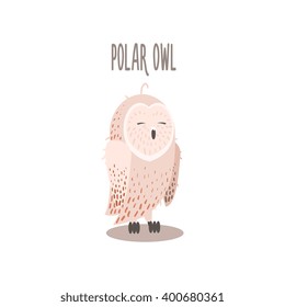 Polar Owl Drawing For Arctic Animals Collection Of Flat Vector Illustration In Creative Style On White Background