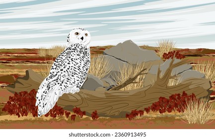 A polar owl sits on the trunk of a fallen tree. Arctic in summer. Realistic vector landscape