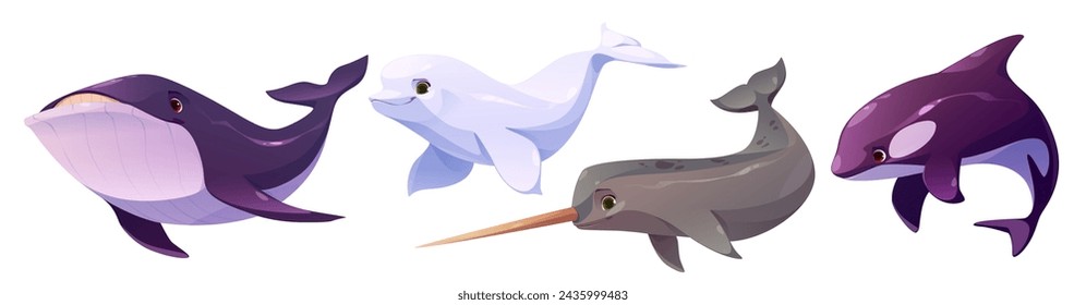 Polar water animals set isolated on white background. Vector cartoon illustration of whale, narwhal, orca, beluga, dolphin characters swimming in sea or ocean, underwater wildlife design elements