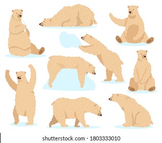 Polar white bear. Arctic snow bear, cute north bear character, angry fur wildlife mammal character isolated vector illustration icons set. Arctic bear in snow, winter polar mammal fur