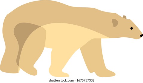 Urso branco polar, ilustração, vetor sobre fundo branco.