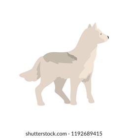 Polar wolf arctic animal vector Illustration on a white background