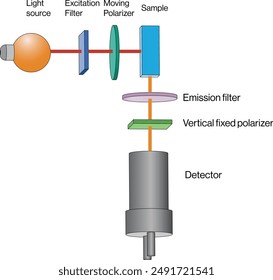 Diagrama de microscopía de fluorescencia de polarización, fondo blanco, Ilustración vectorial de Ciencia