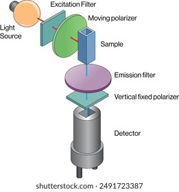 Polarization Fluorimetry Instrumentation and Principle Diagram, White Background, Science Vector Illustration