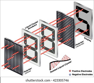 Polarization Of Light.   Seven-segment Liquid Crystal Display (LCD)