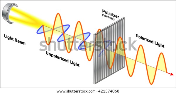 Polarization Of Light Free Pdf | Ebook Reader Digikala