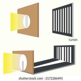 Polarization of Light Waves - Optical rotation of unpolarized light into plane polarized light illustration.