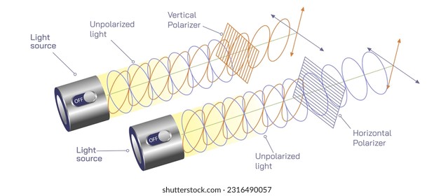 Polarisierte und unpolarisierte Lichtvektorgrafik. Eigenschaften von Licht. Elektromagnetische Eigenschaften von Licht vertikal und horizontal. allgemeine Physik studiert materielle grafische Bilder. elektrisches Potenzial