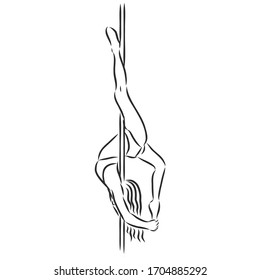 Pole dancer on the pole. Beautiful young woman on the pole. vector sketch illustration