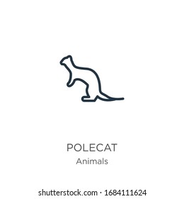 Polecat icon. Thin linear polecat outline icon isolated on white background from animals collection. Line vector sign, symbol for web and mobile
