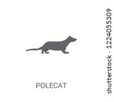 Polecat icon. Trendy Polecat logo concept on white background from animals collection. Suitable for use on web apps, mobile apps and print media.