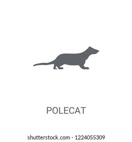 Polecat icon. Trendy Polecat logo concept on white background from animals collection. Suitable for use on web apps, mobile apps and print media.