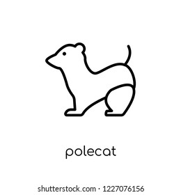Polecat icon. Trendy modern flat linear vector Polecat icon on white background from thin line animals collection, editable outline stroke vector illustration