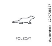 Polecat linear icon. Modern outline Polecat logo concept on white background from animals collection. Suitable for use on web apps, mobile apps and print media.