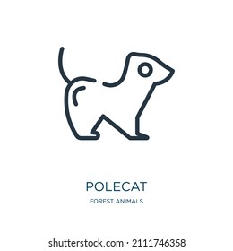 polecat thin line icon. small, domestic linear icons from forest animals concept isolated outline sign. Vector illustration symbol element for web design and apps.