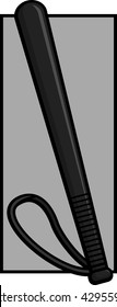 Police Baton