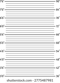 Police lineup height chart backdrop for mugshot photography. Height scale for crime-themed design projects, legal infographics, and cinematic promotional materials