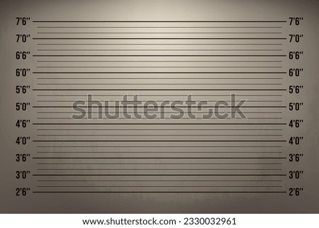 Police lineup or mugshot retro background with light on the old wall. Height identification with inch and feet measure line in investigation room to register a suspect person. Vintage vector template