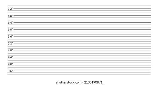 Police mugshot background. Height chart for photo of arrested person or suspect identification isolated on white background. Vector illustration.