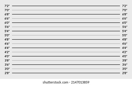 Police mugshot background. Lineup wall with a inch scale. Template with police shot. Vector background.