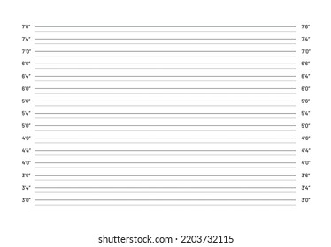 Police Mugshot Isolated On White Background.Criminal Measurements Lineup. Vector Stock