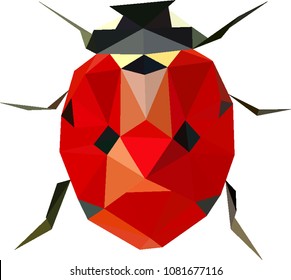 Polinomial ladybird, Low poly ladybug, Ladybird from triangles, Vector graphics, Coccinella septempunctata

