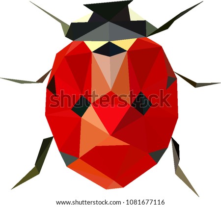Polinomial ladybird, Low poly ladybug, Ladybird from triangles, Vector graphics, Coccinella septempunctata
