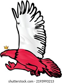 Polish Eagle with a crown on its head soars in the sky. The flag of Poland covers the wings of an Eagle. A Cool Eagle is exploring its territory. National vector illustration.