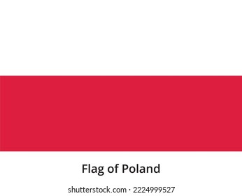 Polish of flag horizontal bicolor red  white The proportion of the Polish flag is 5:8  adopted in 1919 Vector clipart