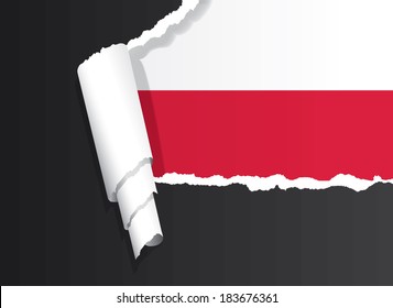Polish flag under ripped paper vector illustration.
