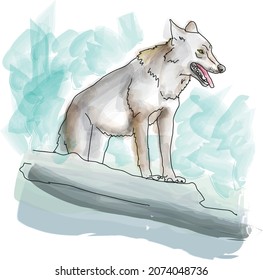 Polish grey wolf in the forest. watercolor sketch, vector illustration, element for calendar, poster, magazine, social media post