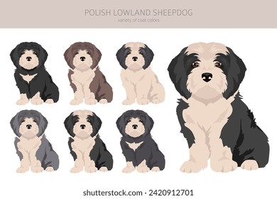 Polish lowland sheepdog puppy clipart. Different poses, coat colors set.  Vector illustration