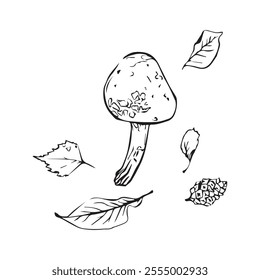 Polish mushroom with autumn leaves, hand drawn in graphic style. Mushroom and leaves for design. Vector illustration