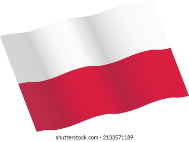 Polish or Poland Flag vector illustration icon