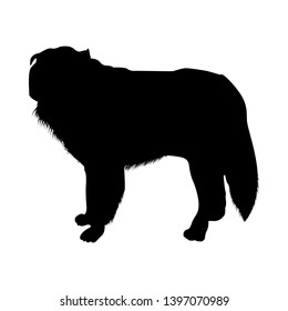 Polish Sheepdog Silhouette. Smooth Vector Illustration.