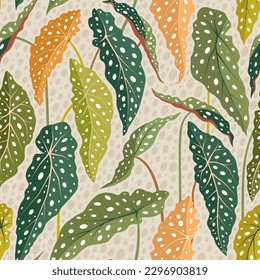 Polka Dot BegoniaBegonia Maculata leaves. Colorful seamless vector pattern