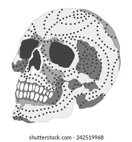 polka dot line sugar skull tribal illustration