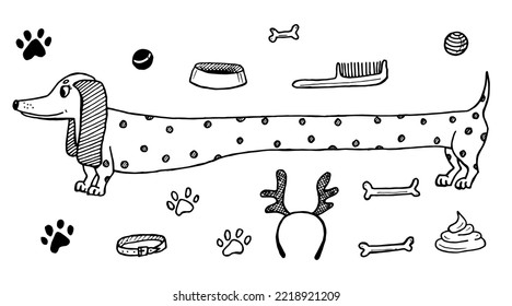 Polka-dotted dachshund dog and accessories for playing and taking care of him. Hand-drawn doodles. Vector illustration. Elements of grooming: bowl, balls, bones, comb, collar.