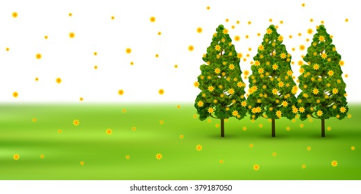 Pollen cedar tree background