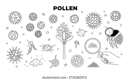 Grãos de pólen em ilustração de arte vetorial para ciência e biologia.  Uma variedade de desenhos de vetor de pólen.