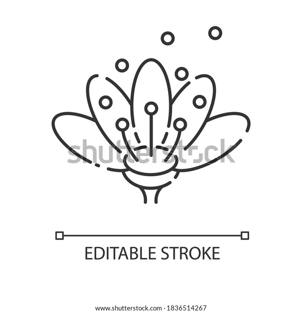 Pollen linear icon. Natural flowers reproduction.
Pollination, seasonal allergy, beekeeping thin line customizable
illustration. Contour symbol. Vector isolated outline drawing.
Editable stroke