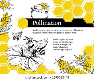 Pollination hand drawn vector illustration. Bumblebee and blossom flower ink pen sketch. Honey shop packaging sticker. Honeycomb geometric shape. Stylized freehand chamomile and sea buckthorn drawing